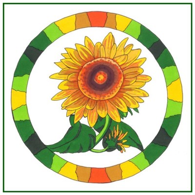 Shire Sunflower